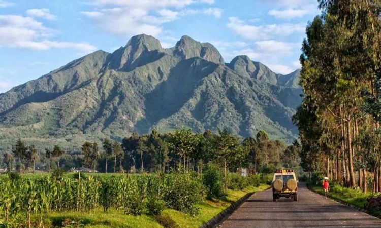 3 Days Gorilla Trekking Safari in Rwanda